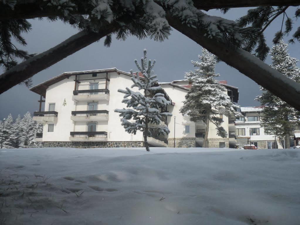 Bor Hotel Belitsa  Luaran gambar