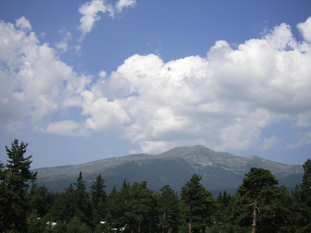 Bor Hotel Belitsa  Bilik gambar