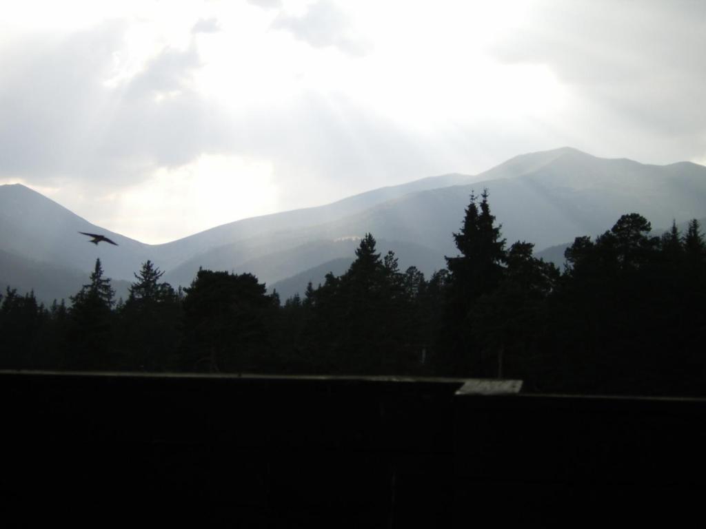 Bor Hotel Belitsa  Bilik gambar